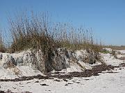 St. Augustine - Jan 2012 103